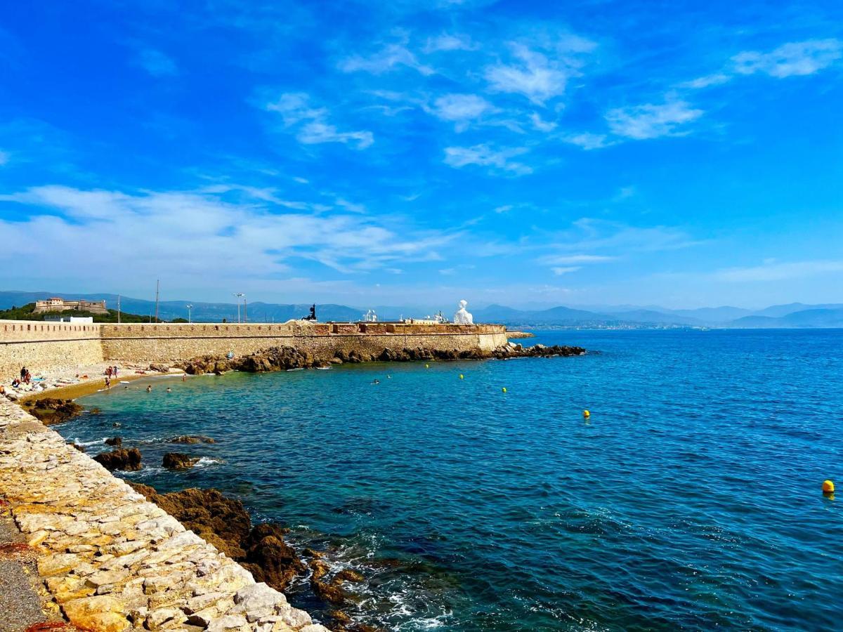 Appartement Tout Neuf Vieil Antibes Dış mekan fotoğraf